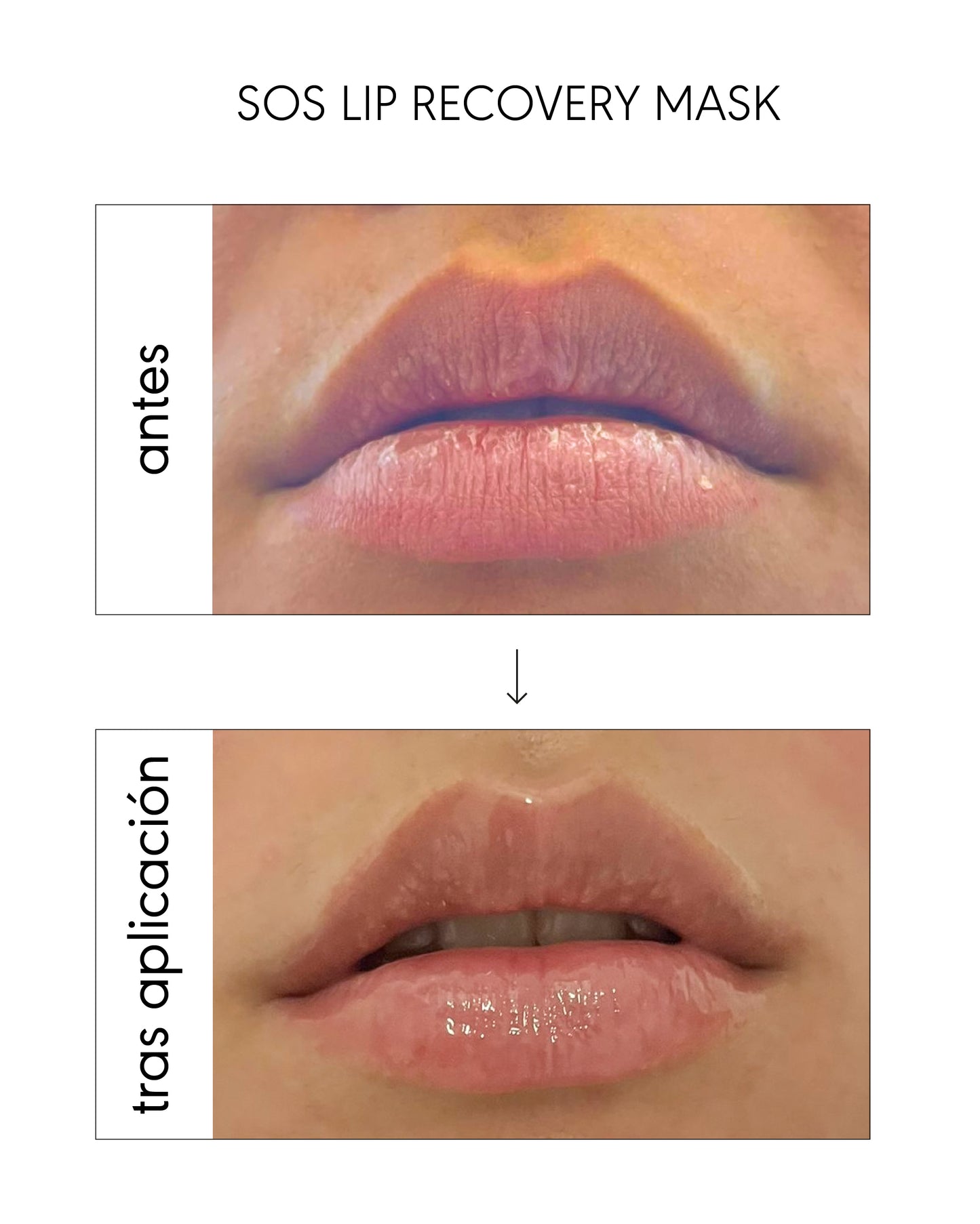 Lip Perfection Fusion: mask & elixir
