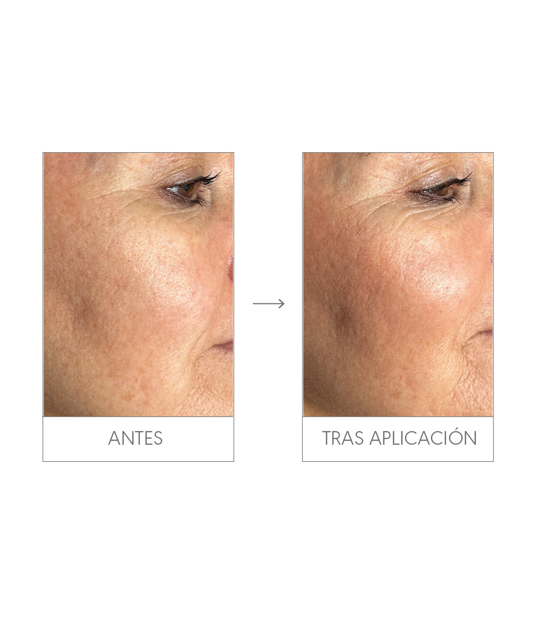Daily Skin Perfector SPF 50